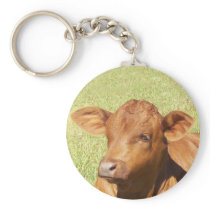 arby key chains