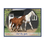 Arc Bars Miss and Bel's Starlet Postcard