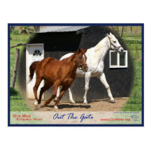 Arc Bars Miss and Bel's Starlet Postcard