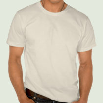 Arcane Palette Aztec Pyramid Organic Tee t-shirts
