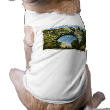 Arch Rock Mackinac Island, Michigan Pet T-shirt