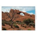 Arch With Tree cards by jeffmeyers Arch With Tree cards