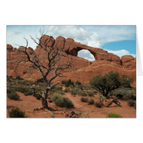 Arch With Tree cards by jeffmeyers Arch With Tree cards