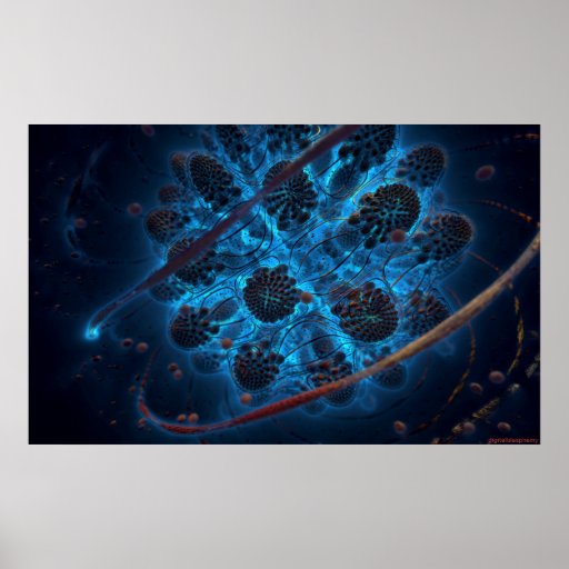 Archaea Posters