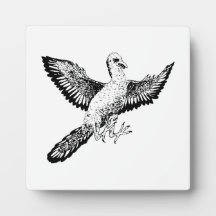 Archaeopteryx Photo Plaques