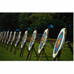 Archery targets near Brentwood, Essex, U.K. Photo Cutout