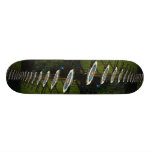 Archery targets near Brentwood, Essex, U.K. Skateboard