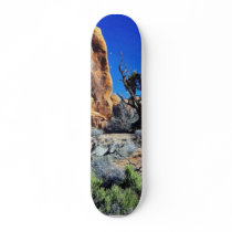 Arches Arches National Park Skate Board Decks