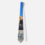 Arches Arches National Park Necktie