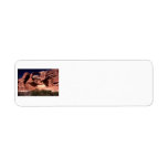 arches national park arches way up high custom return address labels