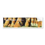 Arches National Park Bumper Stickers