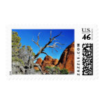 Arches National Park Old Tree Stamps
