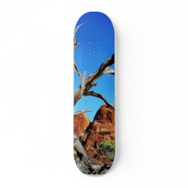 Arches National Park Old Tree Custom Skateboard