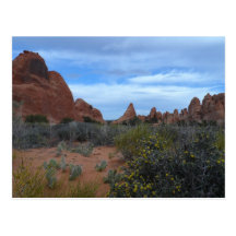 Arches National Park Scene Postcard