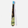 Arches National Park Custom Tie