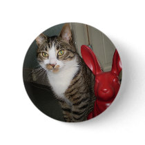 Archie and hare pins