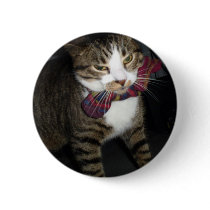 archie in uncomfortable bow tie pin