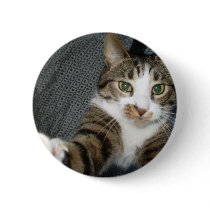 Archie the cat pin