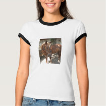 ARCHIE t-shirts