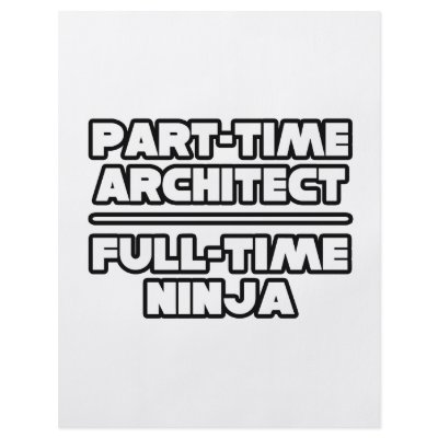 Architect...Ninja Custom Flyer by Architect_Shirts