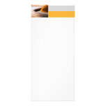 Architect Rack Card rack cards