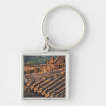 Architectural details in the Forbidden City, Keychain