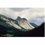 Architecture Of Nature Photo Cutout