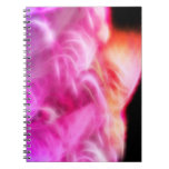 ArcMountain Notebook