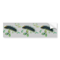 Arctia caja caterpillar bumper stickers by FlutterByButterfly Arctia caja caterpillar bumper stickers
