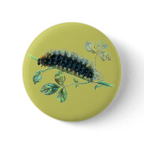 Arctia caja caterpillar buttons