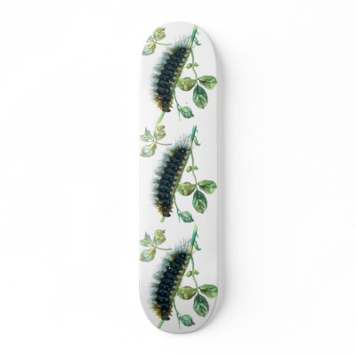 Arctia caja caterpillar skate boards by FlutterByButterfly
