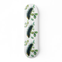 Arctia caja caterpillar skateboards