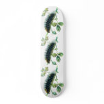 Arctia caja caterpillar skate boards