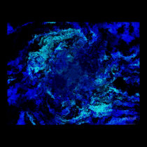 Arctic Algae posters