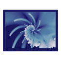 Arctic Breeze posters