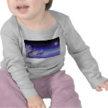 Arctic Christmas Eve Tshirts