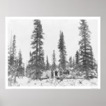 Arctic Circle Campers 1919 Poster