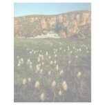 Arctic Cotton Grass on an arctic island, NWT, Cana Customized Letterhead