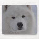 Arctic Dog mousepads by WhiteMagic Arctic Dog mousepads