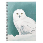 Arctic Eyes Journal
