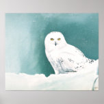 Arctic Eyes Print