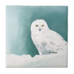 Arctic Eyes Tiles