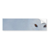 Arctic Fox Bumper Sticker