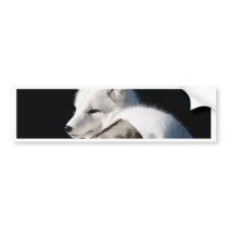 Arctic Fox Bumper Stickers