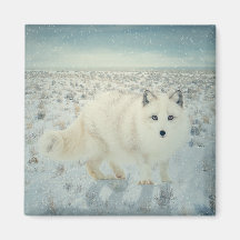 Arctic Fox Fridge Magnet