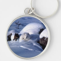 Arctic Fox in Snow Keychain