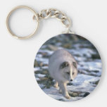 Arctic Fox in snowy rocks Key Chain