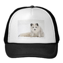Arctic Fox in the Snow Mesh Hat