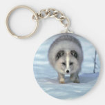 Arctic Fox on snow Key Chains
