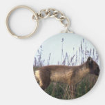 Arctic Fox on summer tundra Key Chain